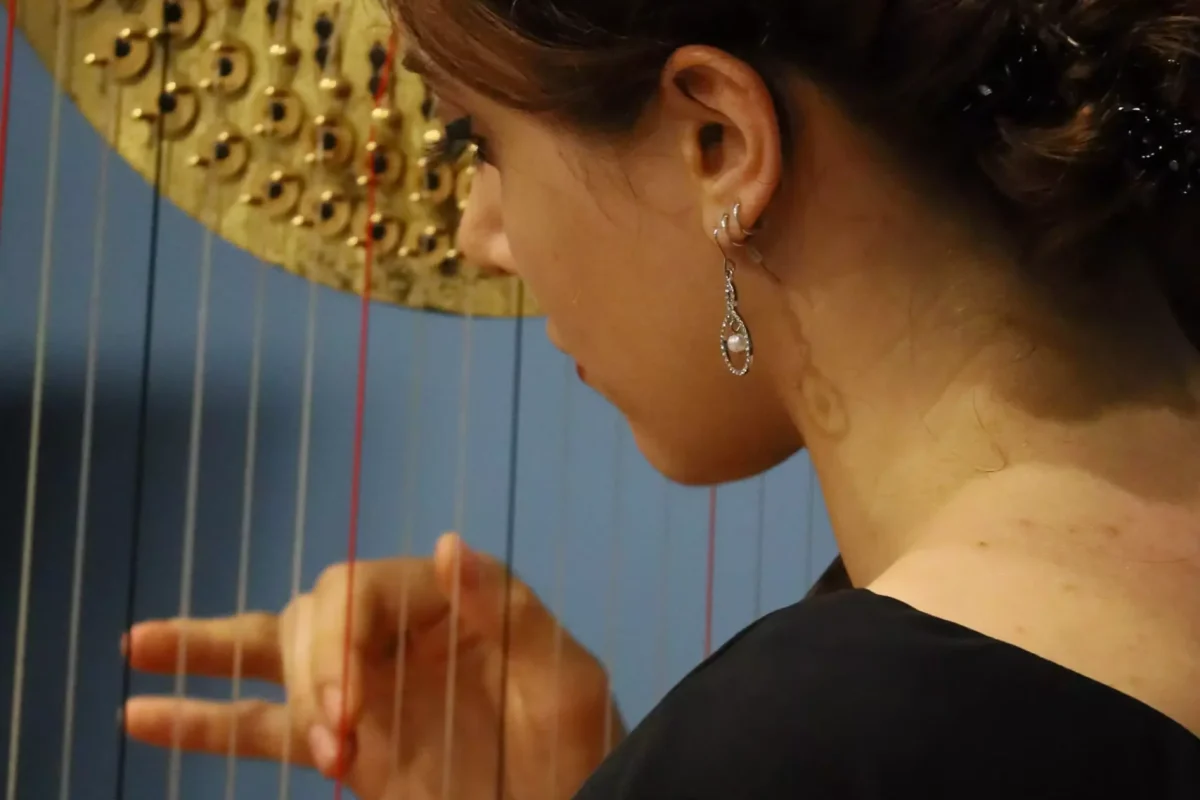 2019 Concerto Duo Foto Alessandro Borghi 03