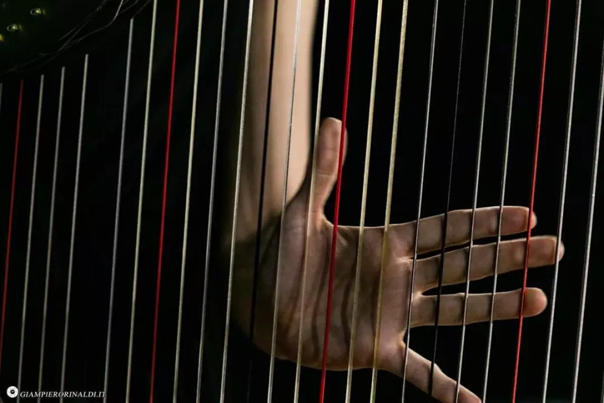 2019 Concerto Orchestra Nova Amadeus 02