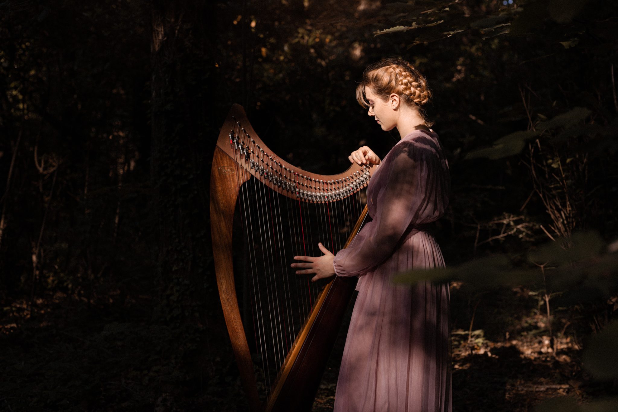 Photo Book Valeria De Vita - Chiara Evangelista Harp, Arpa16